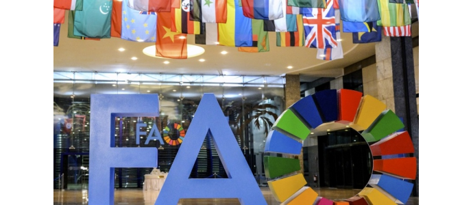  „Studia Ecologiae et Bioethicae” w ONZ-owskiej bazie danych  FAO AGRIS